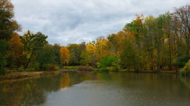 Sonbahar Solacz Parkı 'nda bir gölet. Polonya, Poznan