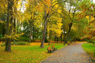 Solacz Sonbahar Parkı 'nda fenerler ve banklarla dolu bir patika. Polonya, Poznan