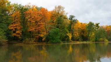 Sonbahar Solacz Parkı 'nda bir gölet. Polonya, Poznan