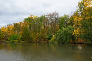 Sonbahar Solacz Parkı 'nda bir gölet. Polonya, Poznan