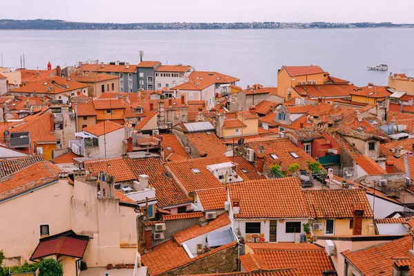 Ancient Buildings with Red Roofs in Town Piran, Slovenia