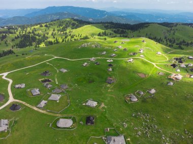 Velika Planina 'nın Yeşil Tepesi' ndeki Dağ Kulübelerinin Havadan Görünümü Büyük Çayırı, Alp Çayırı, Slovenya