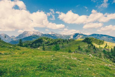Alp Çayırları, Ağaçlı Dağ Vadisi, Yeşil Çimen ve Bulutlu Mavi Gökyüzü. Velika Planina, Slovenya