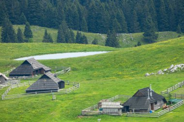 Slovenya 'daki Büyük Pasta Platosu veya Velika Planina' daki Geleneksel Dağ Ahşap Çoban Barınakları