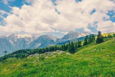 Alp Çayırları, Ağaçlı Dağ Vadisi, Yeşil Çimen ve Bulutlu Mavi Gökyüzü. Velika Planina, Slovenya