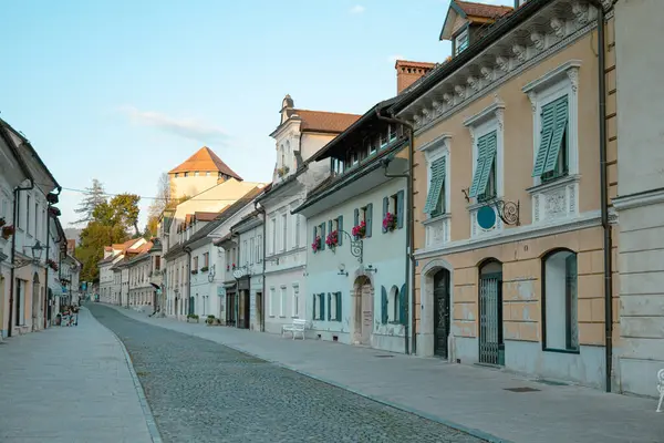 Kamnik Caddesi, Tarih Merkezi, Geleneksel Şehir Binaları. Avrupa, Slovenya