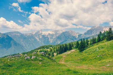 Alp Çayırları, Ağaçlı Dağ Vadisi, Yeşil Çimen ve Bulutlu Mavi Gökyüzü. Velika Planina, Slovenya