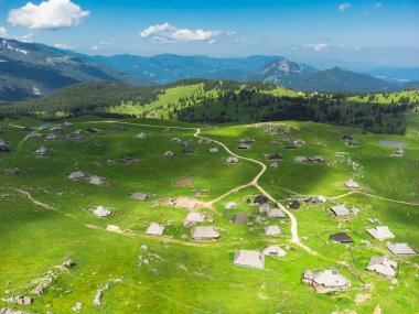 Velika Planina 'nın Yeşil Tepesi' ndeki Dağ Kulübelerinin Havadan Görünümü Büyük Çayırı, Alp Çayırı, Slovenya