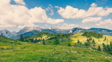 Alp Çayırları, Ağaçlı Dağ Vadisi, Yeşil Çimen ve Bulutlu Mavi Gökyüzü. Velika Planina, Slovenya