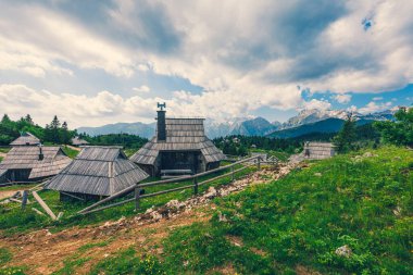 Slovenya 'daki Büyük Pasta Platosu veya Velika Planina' daki Geleneksel Dağ Ahşap Çoban Barınakları