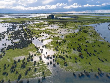 Hollanda Ulusal Parkı 'ndaki Kuzey Brabant, Hollanda' daki Werkendam Köyü yakınlarındaki Hava Manzarası