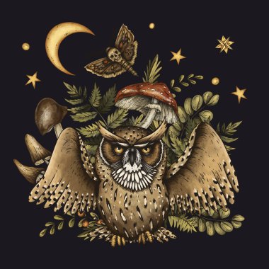 Mantarlı Totem Baykuşu, cadılık çizimi.