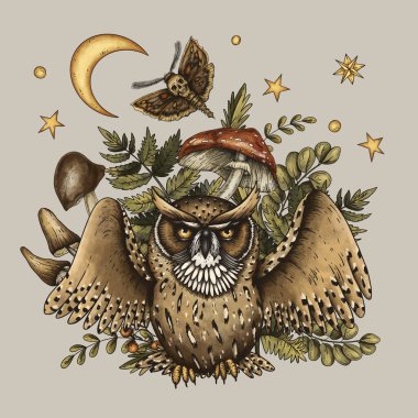 Mantarlı Totem Baykuşu, cadılık çizimi.