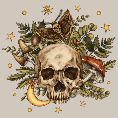 Mantarlı Vintage Skull, cadılık çizimi