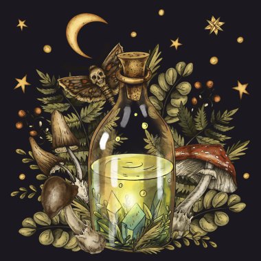 Klasik Mistik Zehir Şişeleri, El yapımı Büyücülük Bitkileri Çizimi