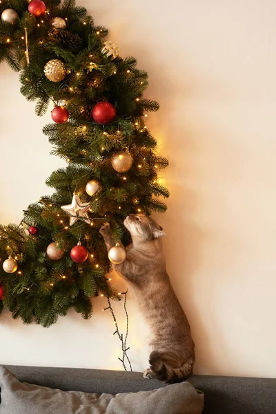 Zimní Prázdniny Prázdniny Vánoce Nový Rok Dekorace Pozadí Vánoční Stromek — Stock fotografie