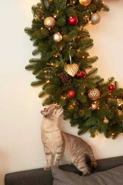 Férias Inverno Férias Natal Ano Novo Fundo Decoração Árvore Natal — Fotografia de Stock
