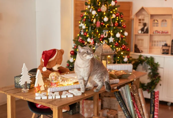 Zimní Prázdniny Prázdniny Vánoce Nový Rok Dekorace Pozadí Vánoční Stromek — Stock fotografie