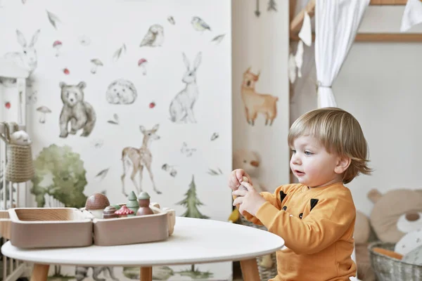 Barnet Leker Med Träleksaker Tidig Utveckling Royaltyfria Stockbilder