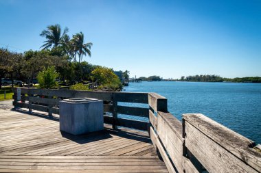 Seagull standing on the pier at Stranahan river Hollywood Florida