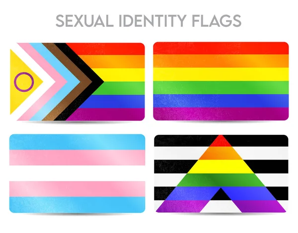 性的アイデンティティの誇りフラグは グランジテクスチャイラストで設定します 同性愛 トランスジェンダー バイセクシャル レズビアン ストレート同盟国をフラグ — ストックベクタ