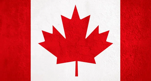 加拿大国旗越过格子背景纹理墙 — 图库照片