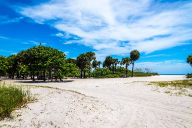 Dania Beach Florida 'daki eyalet parkı ve plajı ABD gündüz mavi gökyüzü