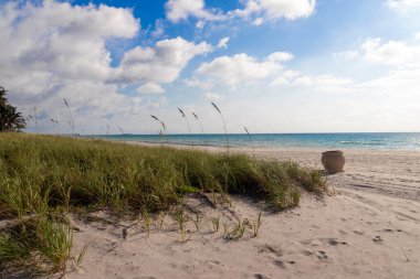 Hollywood plajı Florida ABD plaj ve okyanus güneşli sabah manzarası