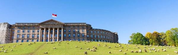 Look Hill Wilhemshoehe Castle Kassel Germany Flock Sheep Meadow Front — Stock Photo, Image