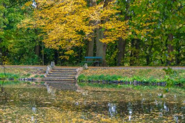 Sonbahar zamanı Idyllic Gölü Parkta