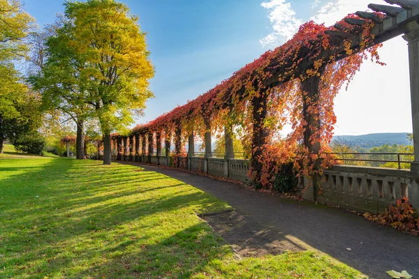 Schöner Garten Herbstfarben Kassel Genannt Weinberg Das Tor Zur Stadt — Stockfoto
