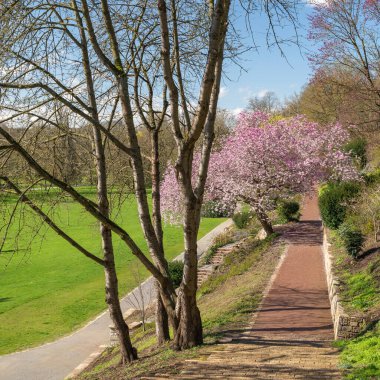 Ünlü Karlsaue Kassel, Almanya 'da güneşli bir bahar gününde