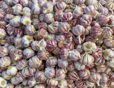 Pazarda bir yığın taze sarımsak.