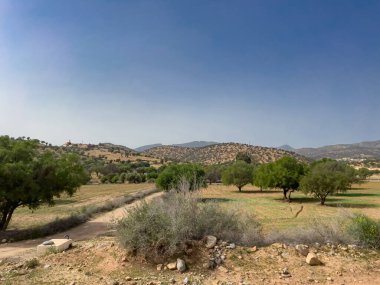 Güneşli bir günde arkaplanda Atlas Dağları 'nın olduğu güzel Fas manzarası