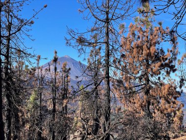 Tenerife ve İspanya 'nın en yüksek dağı olan Pico del Teide' nin manzarası