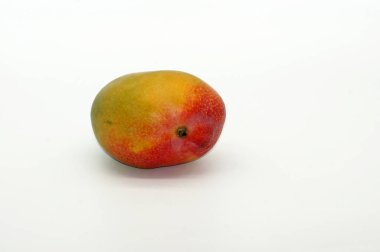 Mango fruit cropped on white background  