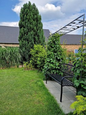 Yeşil bahçede rahat bir yer.