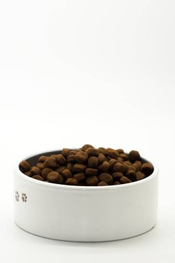 Kuru Köpek Gıda beyaz zemin üzerine izole