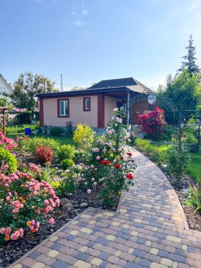Çiçekler ve bitkilerle kaplanmış bir yaz bahçesi. Çiçekler ve diğer çiçeklerle çevrili bir kır evi seçici bir odak noktası var.
