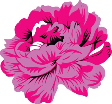 Yapraklarında siyah lekeler olan pembe bir çiçek, canlı renkler ve benzersiz desenler sergiliyor..