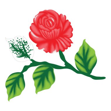 Yeşil yapraklı kırmızı gül, noktacı tasarımlı..