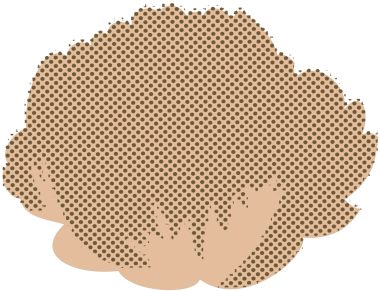 Açık bej, deniz tarağı kabuklu, kahverengi benekli desenli.