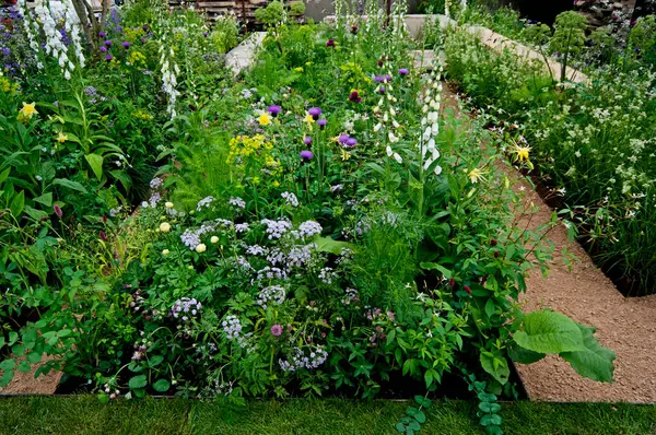 stock image A small cottage garden full with mixed and colourful planting in summer