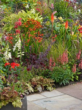 An interesting and well planted flower border with colourful plant associations clipart