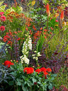 An interesting and well planted flower border with colourful plant associations clipart