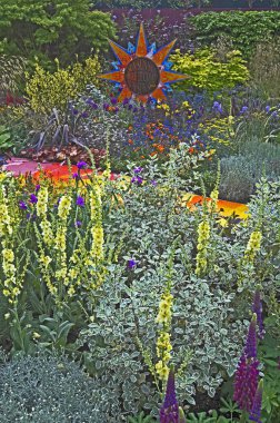 A colourful mixed flower border with Yellow Verbascum and a mosaic sun clipart