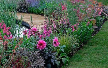 A colourful pink flower border with Foxgloves and Dahlia around a pond with decking clipart