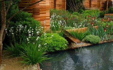 Modern archtictural urban flower garden with water feature clipart