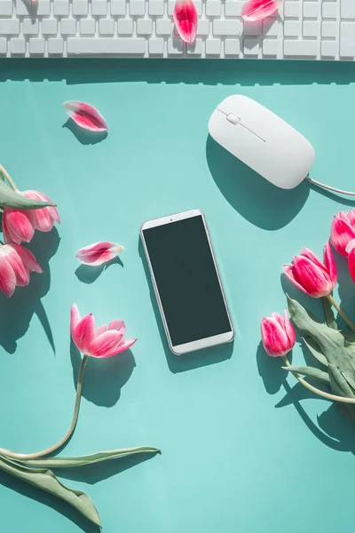 Pink tulips with blank screen smartphone white PC-keyboard on blue background. Top view.
