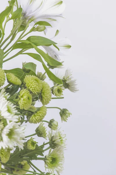 Fleurs Bordure Avec Des Pétales Verts Blancs Arrière Plan Blanc — Photo